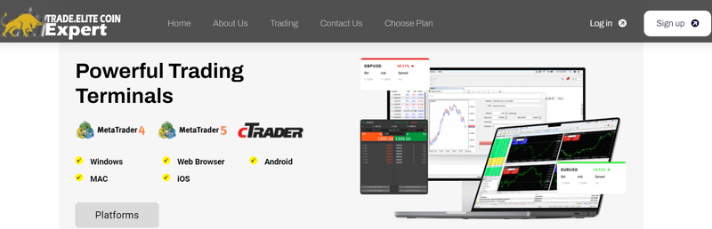 Trade.Elite Coin Expert