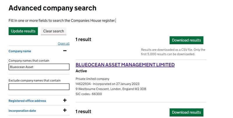 Blueocean Asset的企业背景2