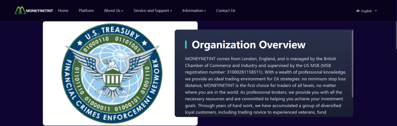 moneynetint.pro