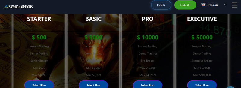 Skyhigh Options