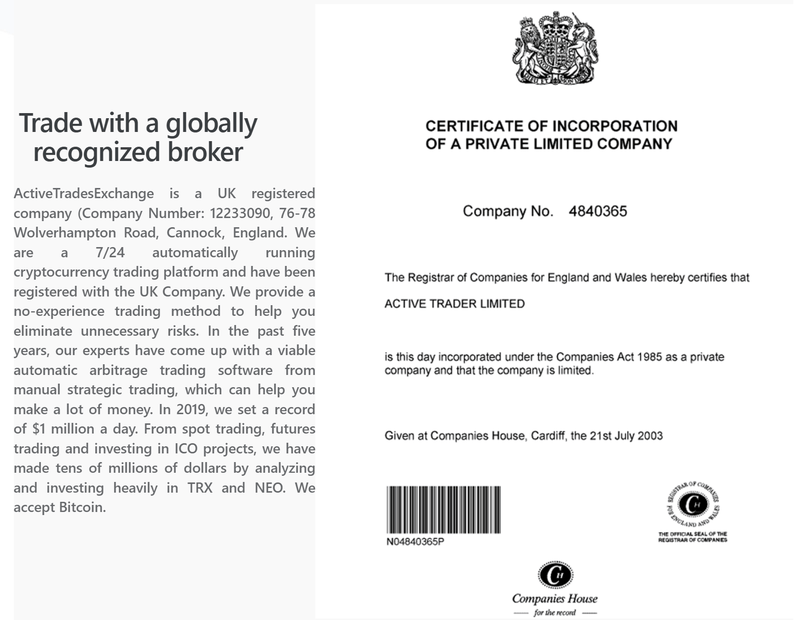 Información de registro de entidad británica mostrada en la web