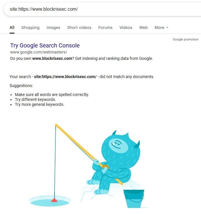 Поиск в популярных поисковых системах, таких как Google, практически не дал результатов