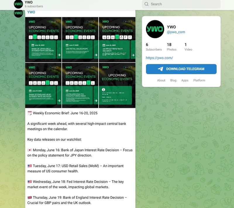 Telegram Channel