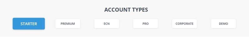 TeraFX Account Types