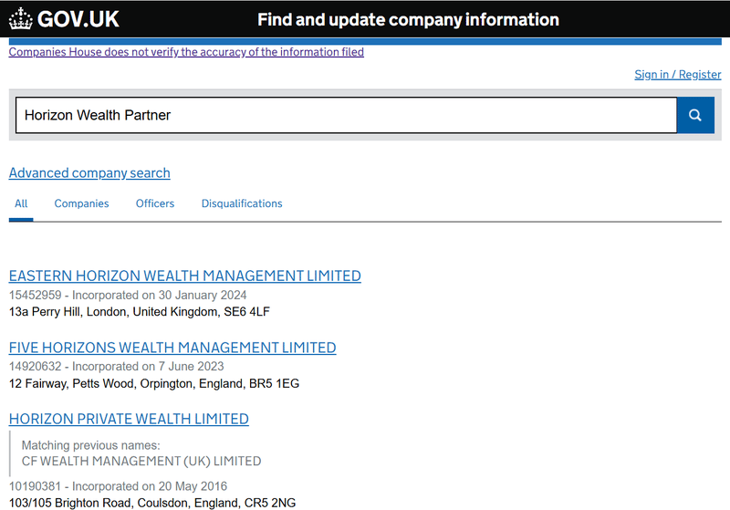 Companies House Query Result