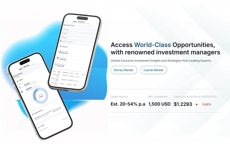 The website promises an annual return of 20%-54%