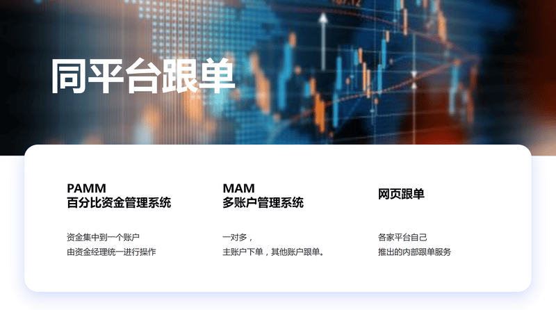 同平台跟单_011.png