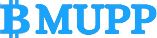 Meta User Profit Point