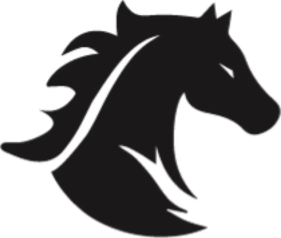 vnpy.com