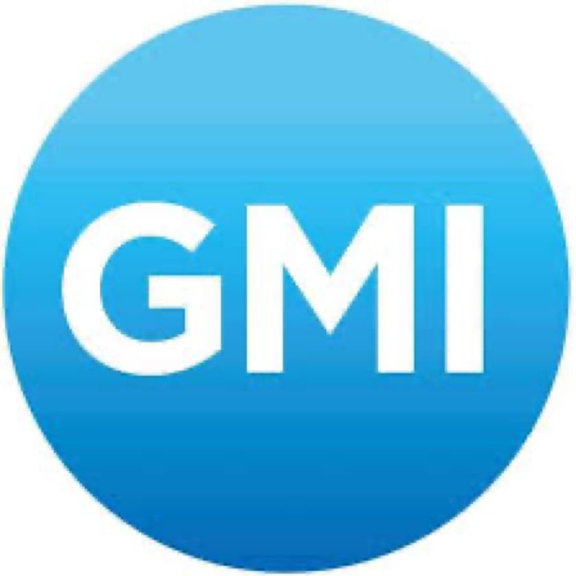 gmi-marketpro.com
