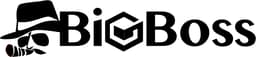 bigboss-financial
