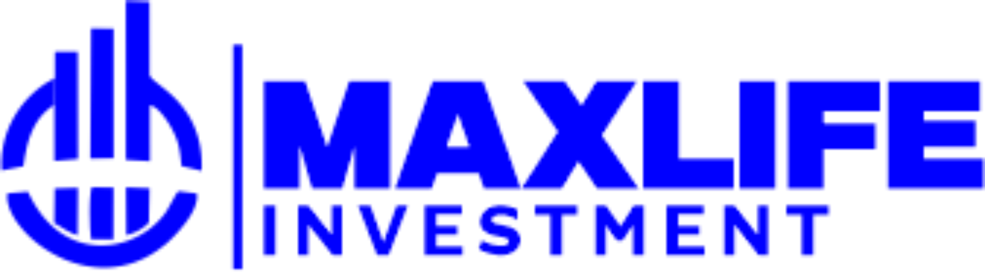 Max Life Investment