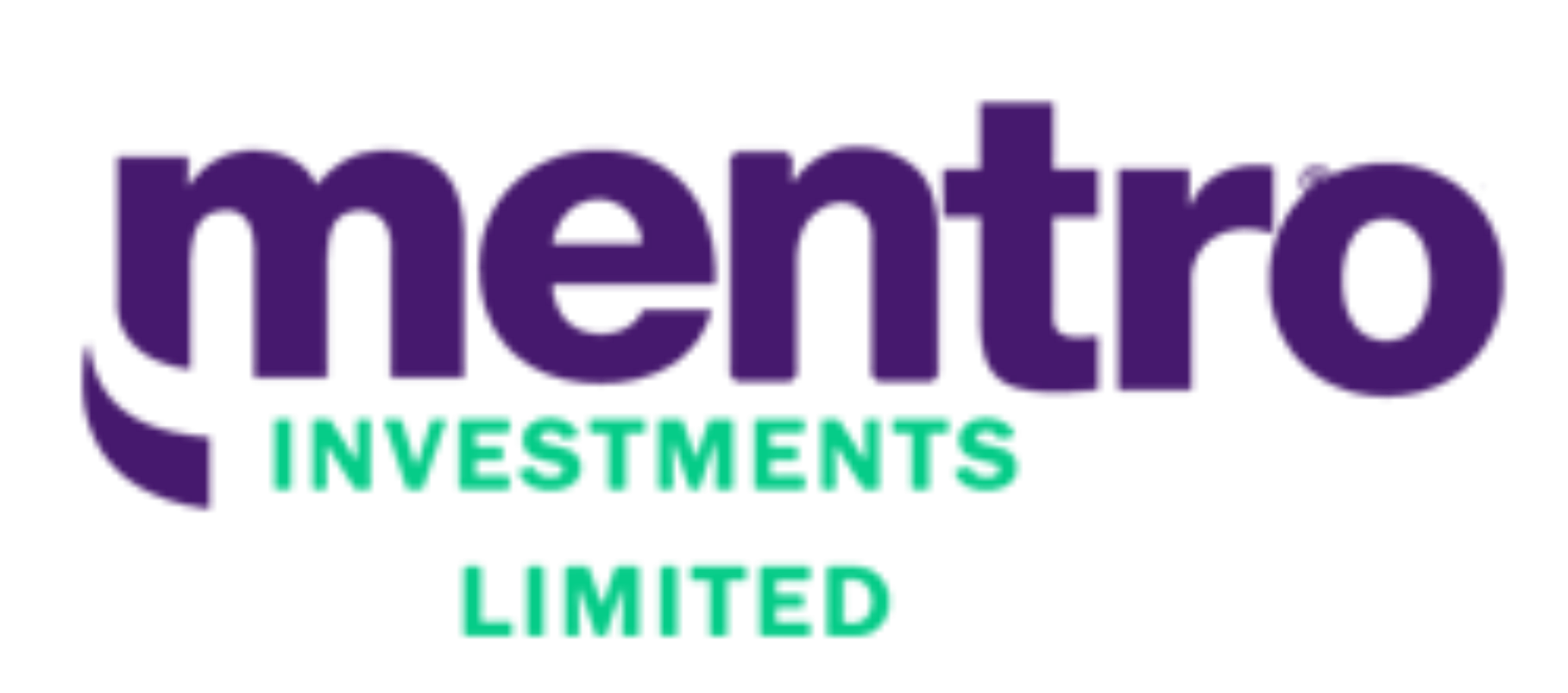Mentro Investment Limited