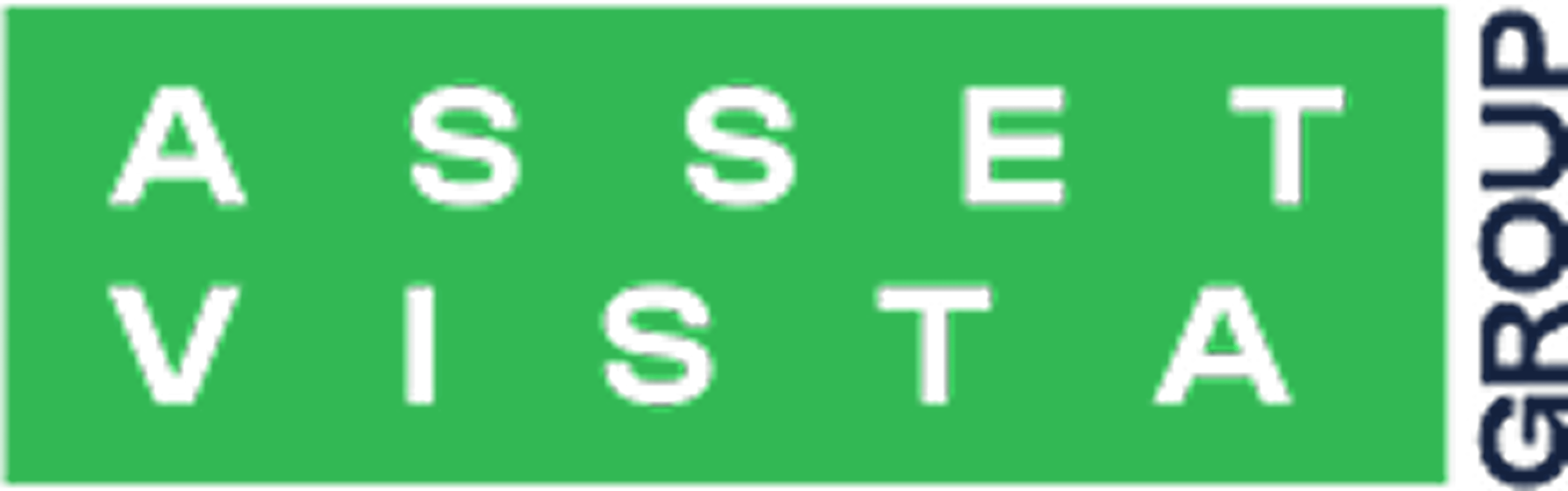 Asset Vista Group