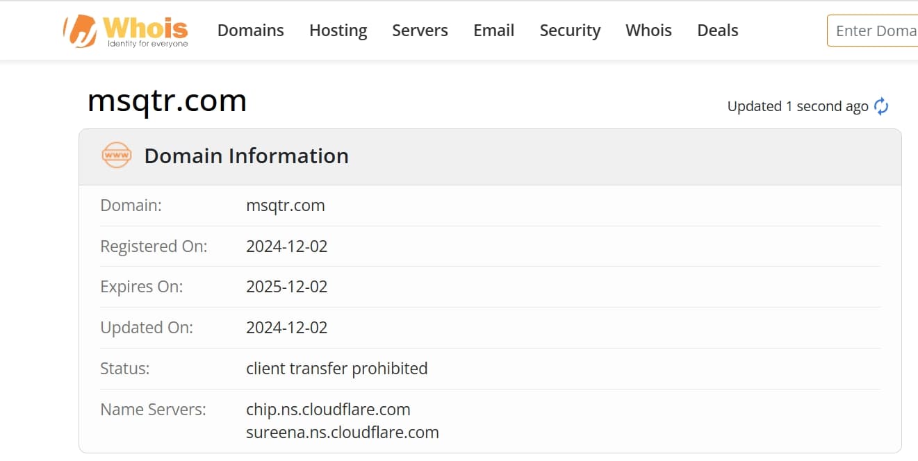 Domain name registration time