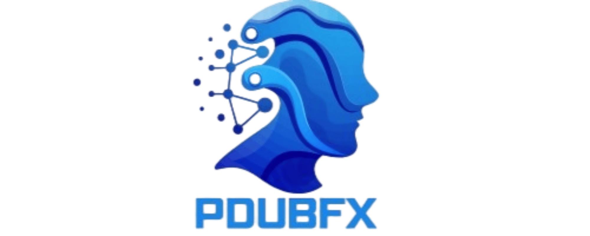 PDUBFX