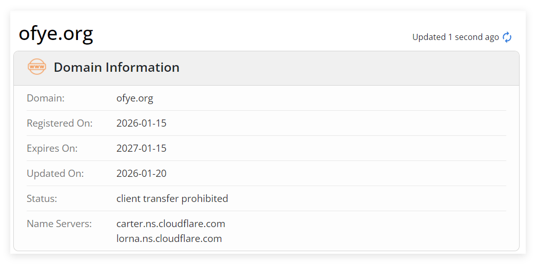A consulta WHOIS para informações de registro de domínio revelou detalhadamente a data de registro.