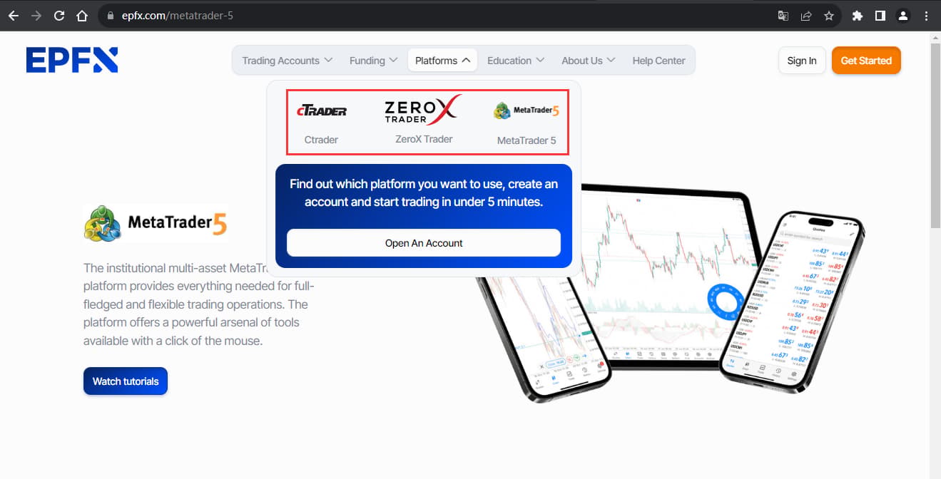 The official website displays trading software information
