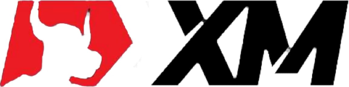 XM Defi