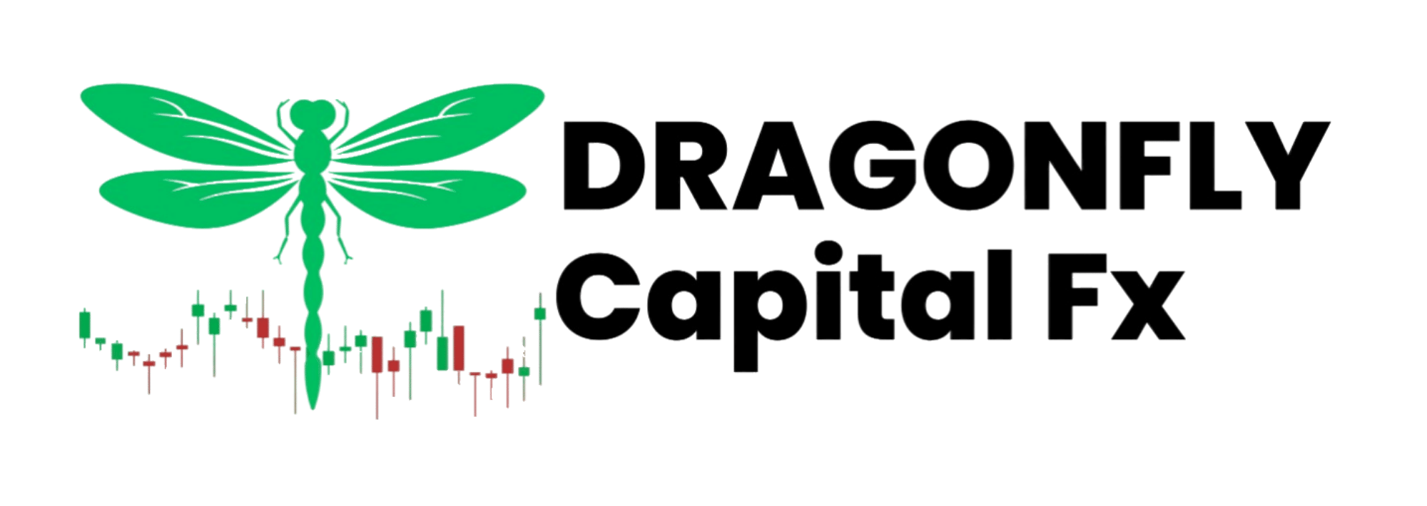 Dragonfly Capital Fx Review: Why We Detected It as a Scam?