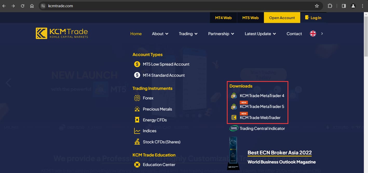 The official website displays trading software information