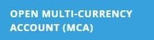 Multi-Currency Account