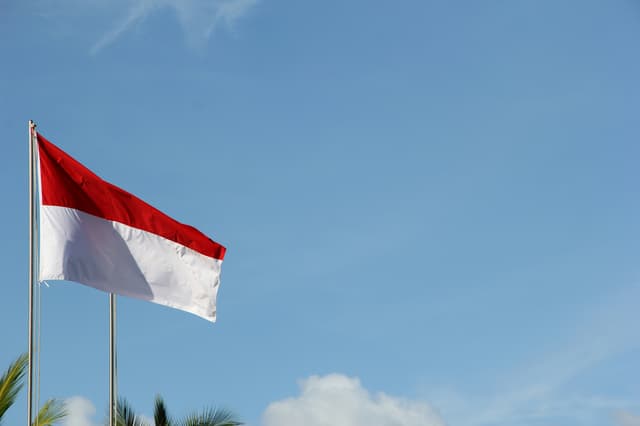 Indonesia's central bank to continue forex intervention, rupiah to strengthen next year.