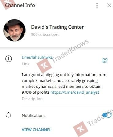 ช่อง TG ของ David Analyst
