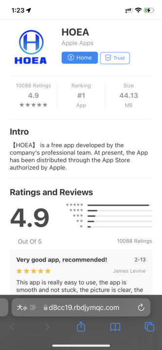 False Apple Store page