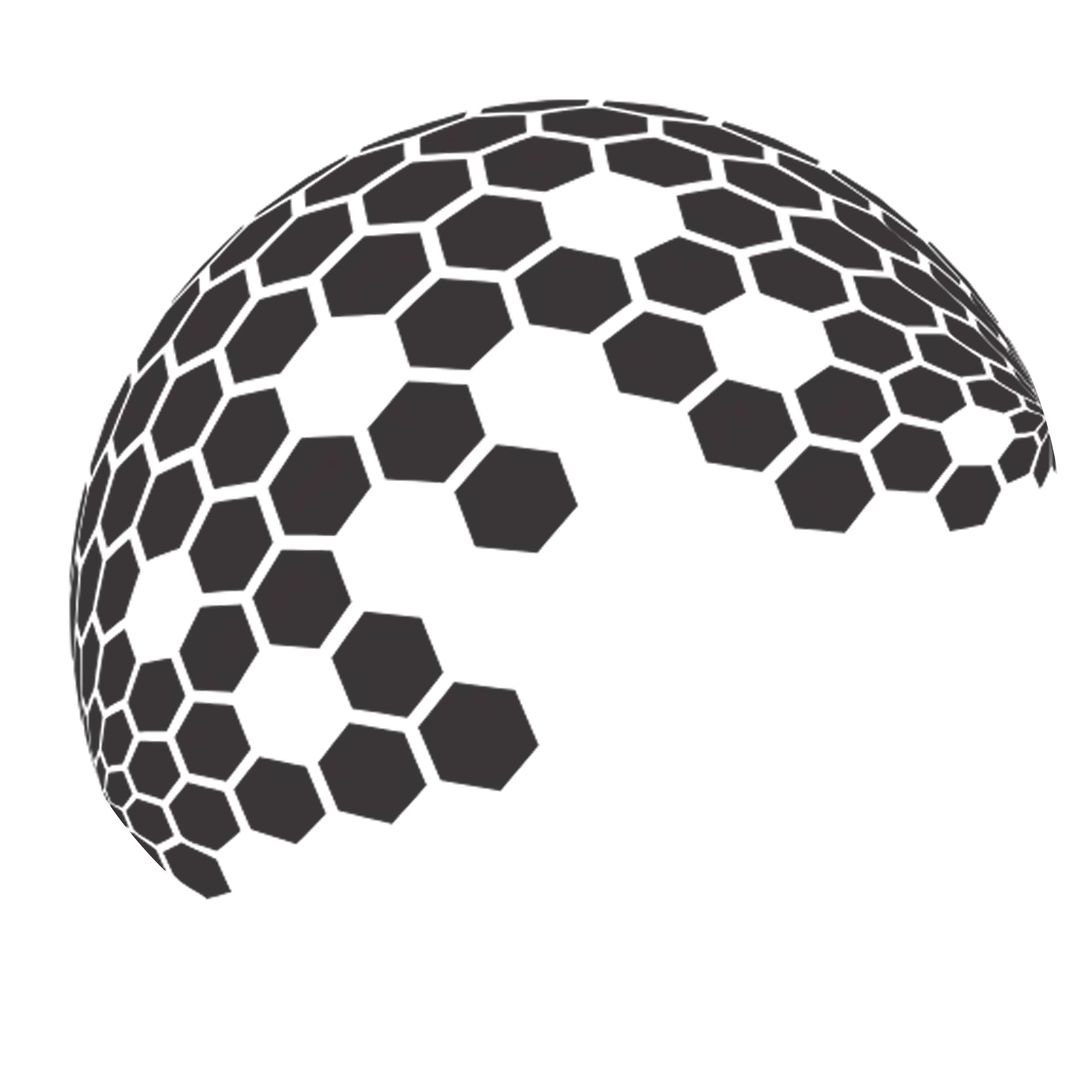 mintcoiners