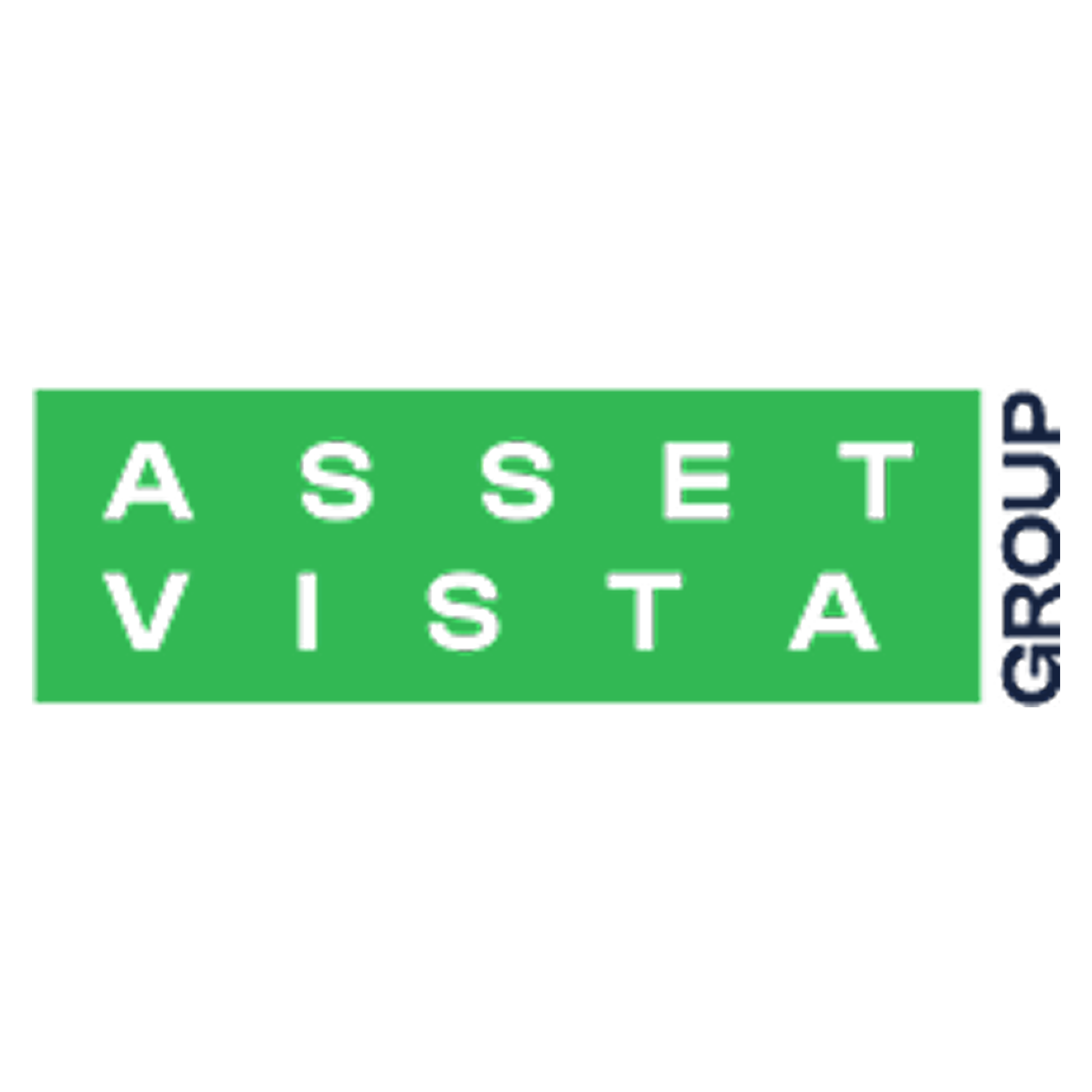 Asset Vista Group