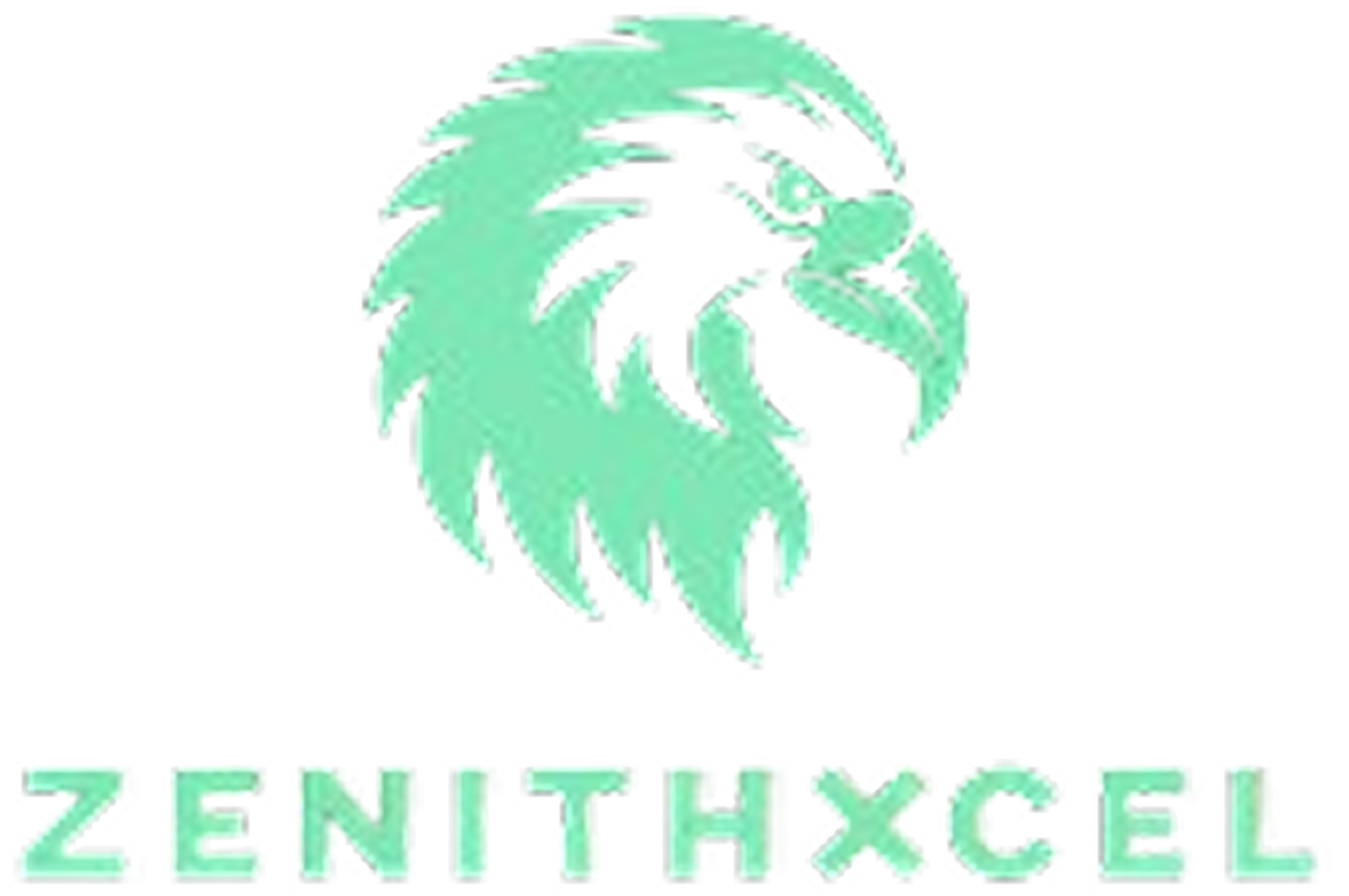 ZenithXcel