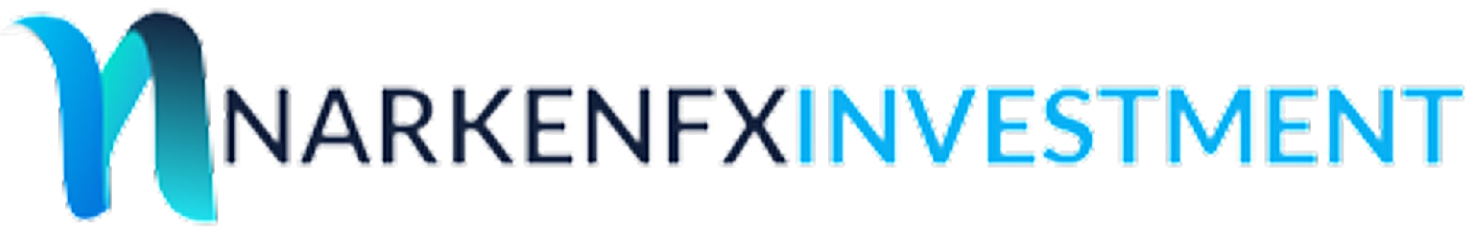 NarkenFXInvestment
