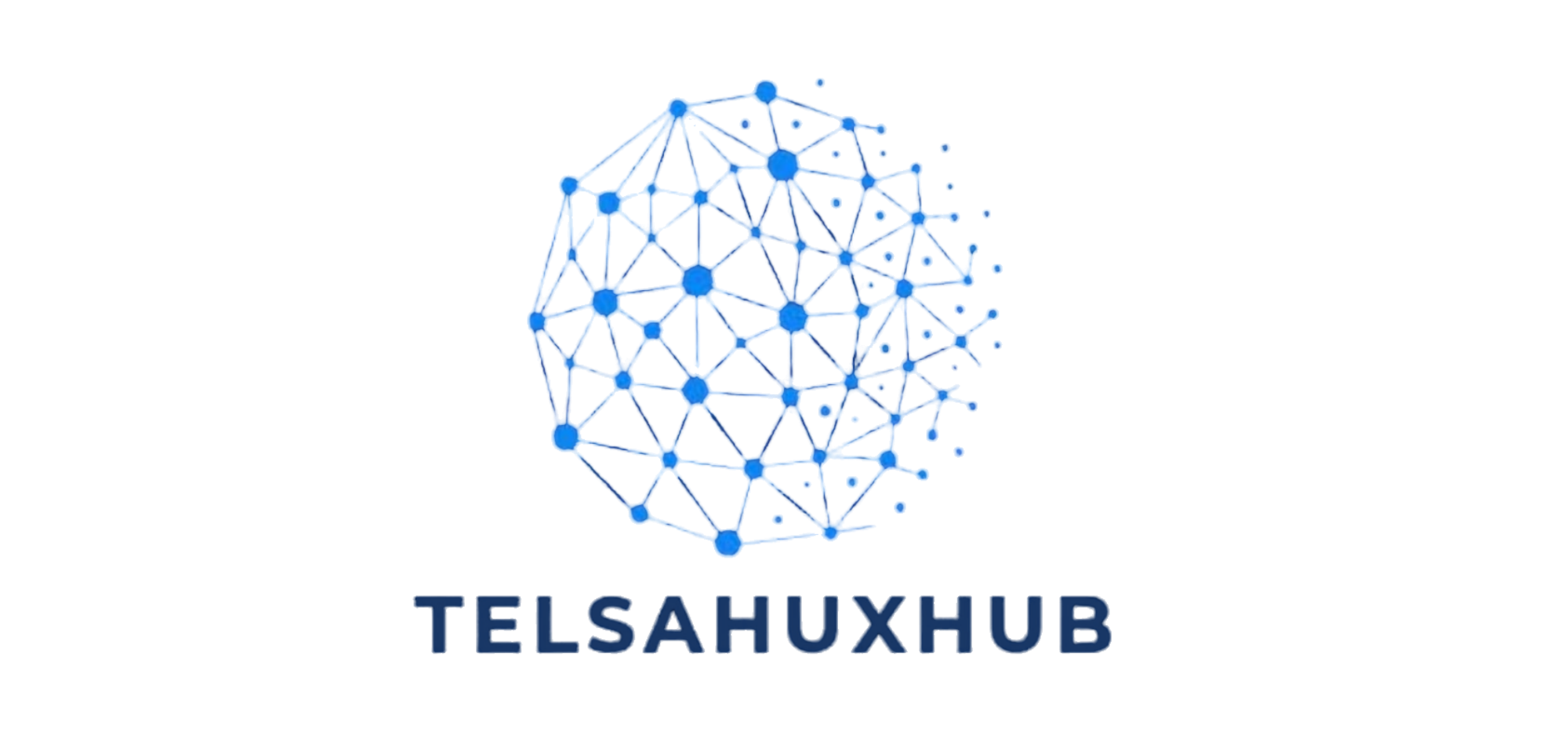 TELSAHUXHUB