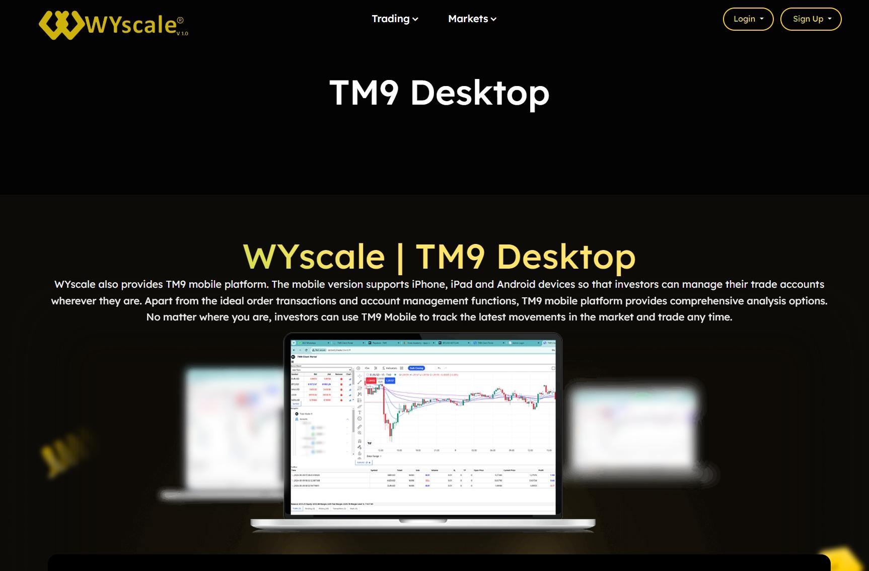 WYscale's trading software