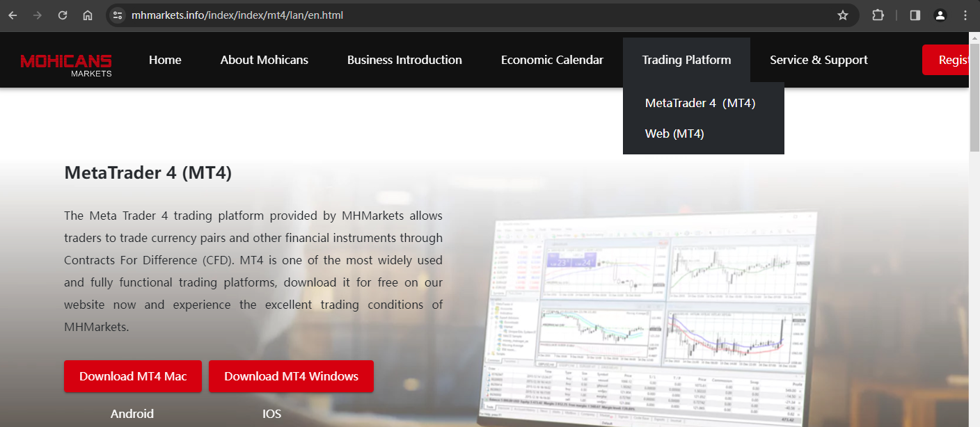 The official website displays trading software information