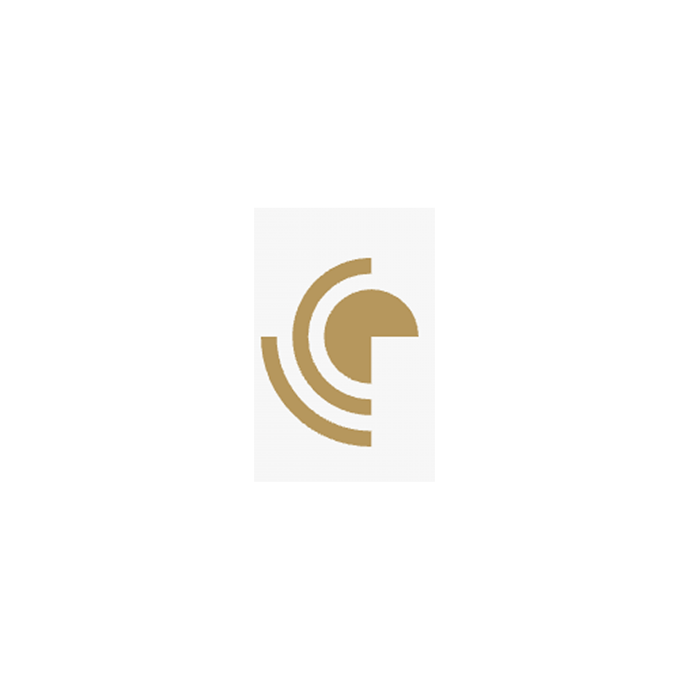 Stellar Pioneer Incorporated