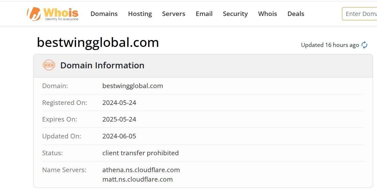 Domain name registration time