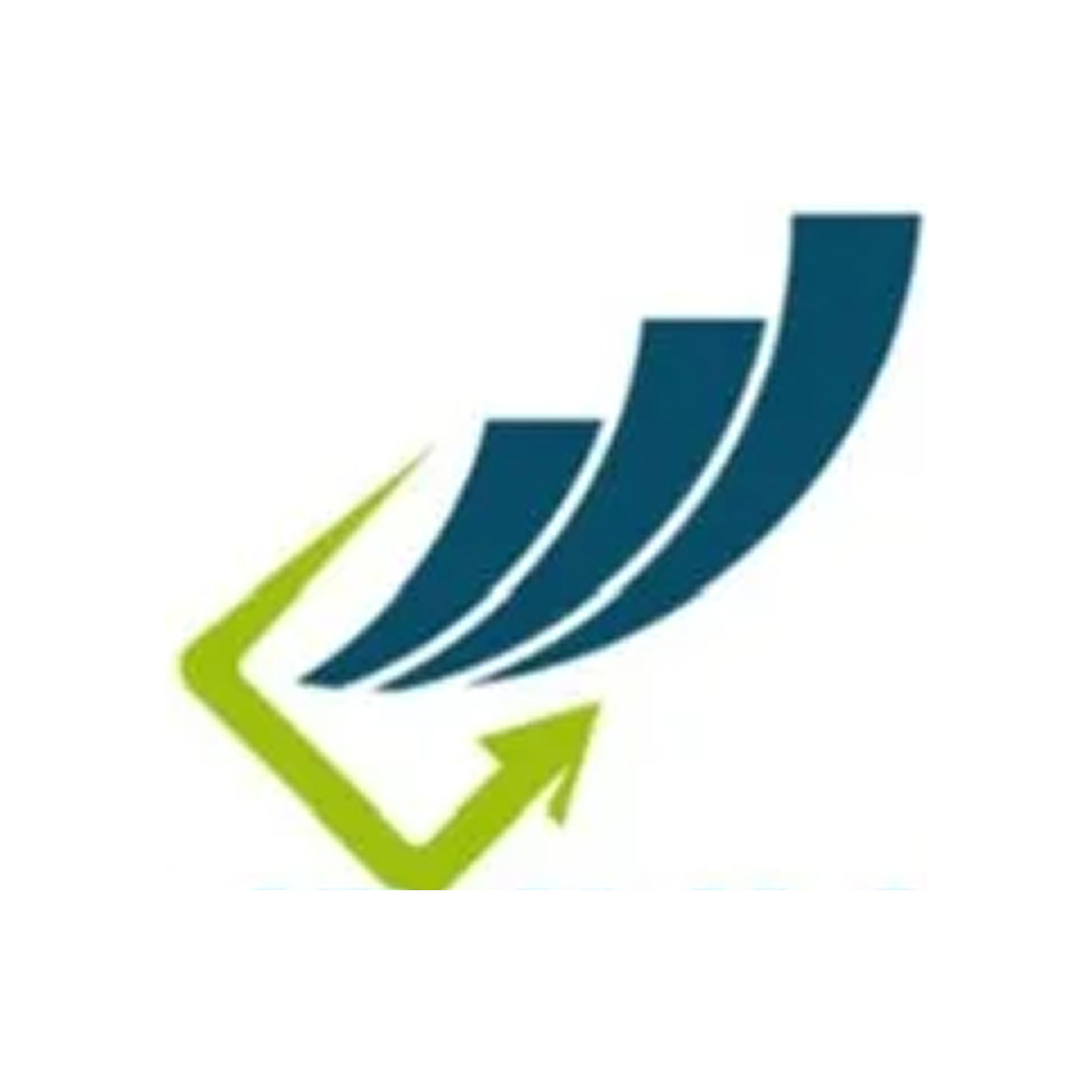 Global Flip Investment
