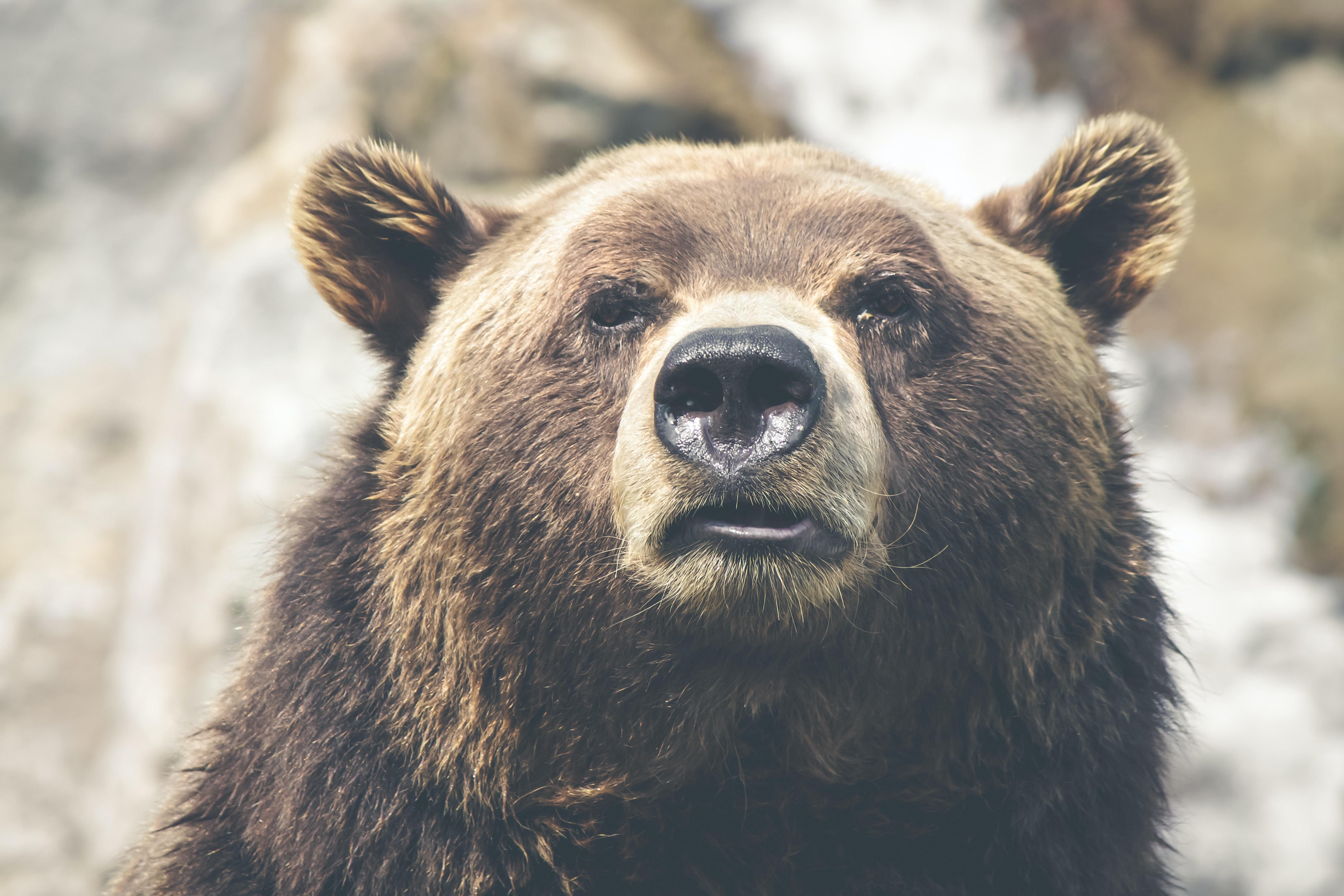 熊市看涨价差(Bearish Call Spread)是什么?熊市看涨价差有什么作用?