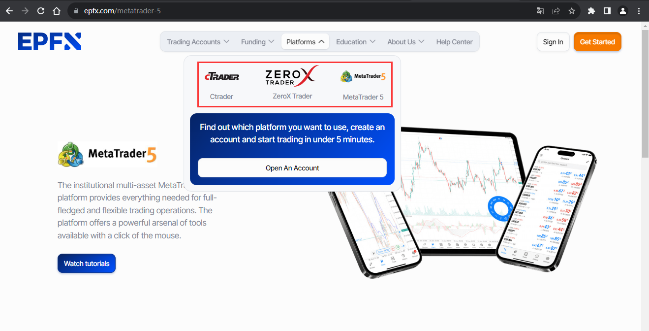 The official website displays trading software information