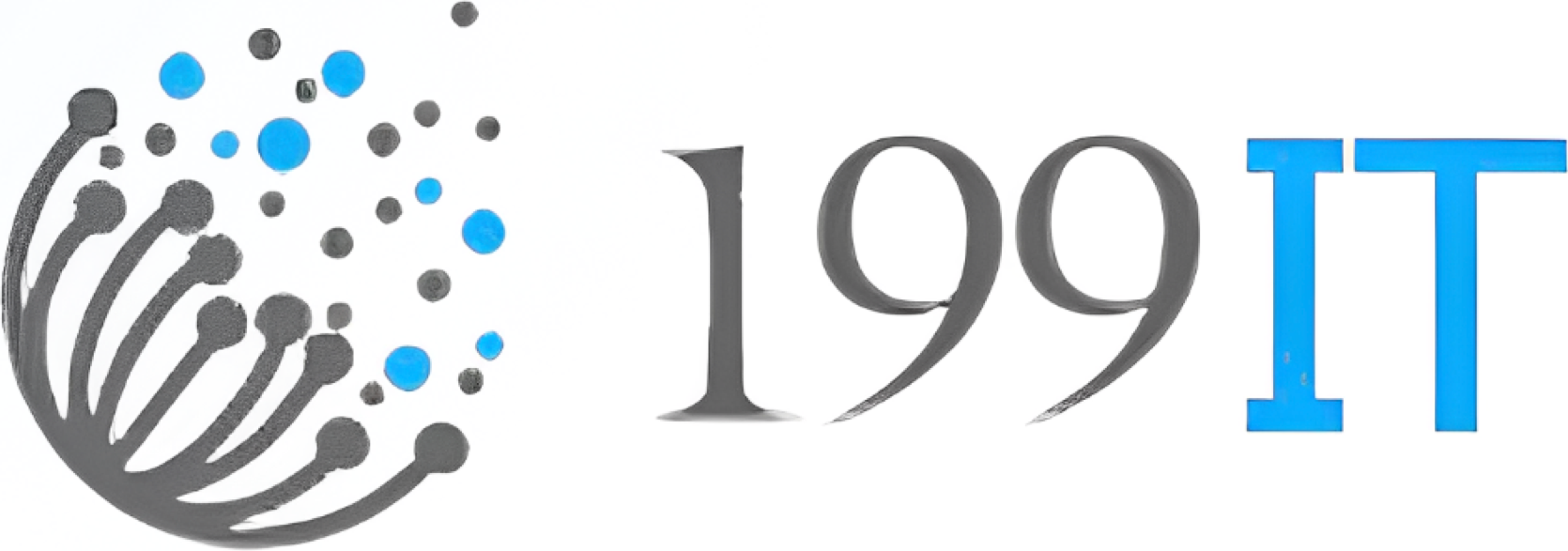 199IT