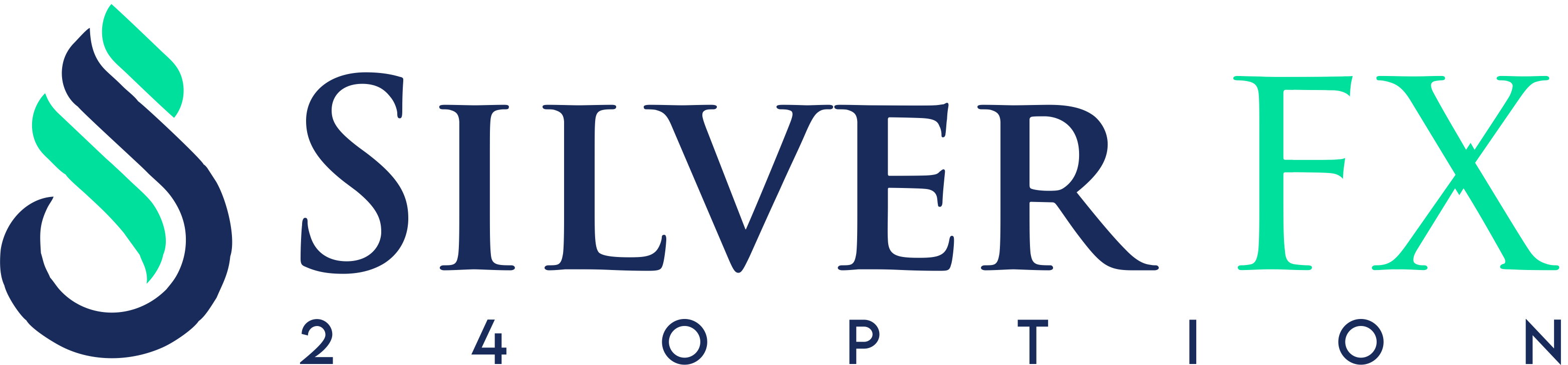 SilverFx24Option