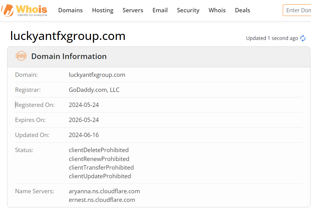 Whois lookup results