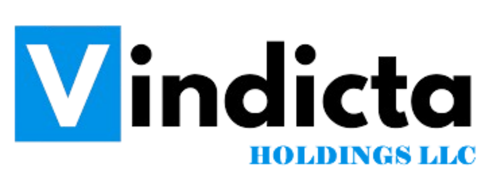 VINDICTA HOLDINGS LLC