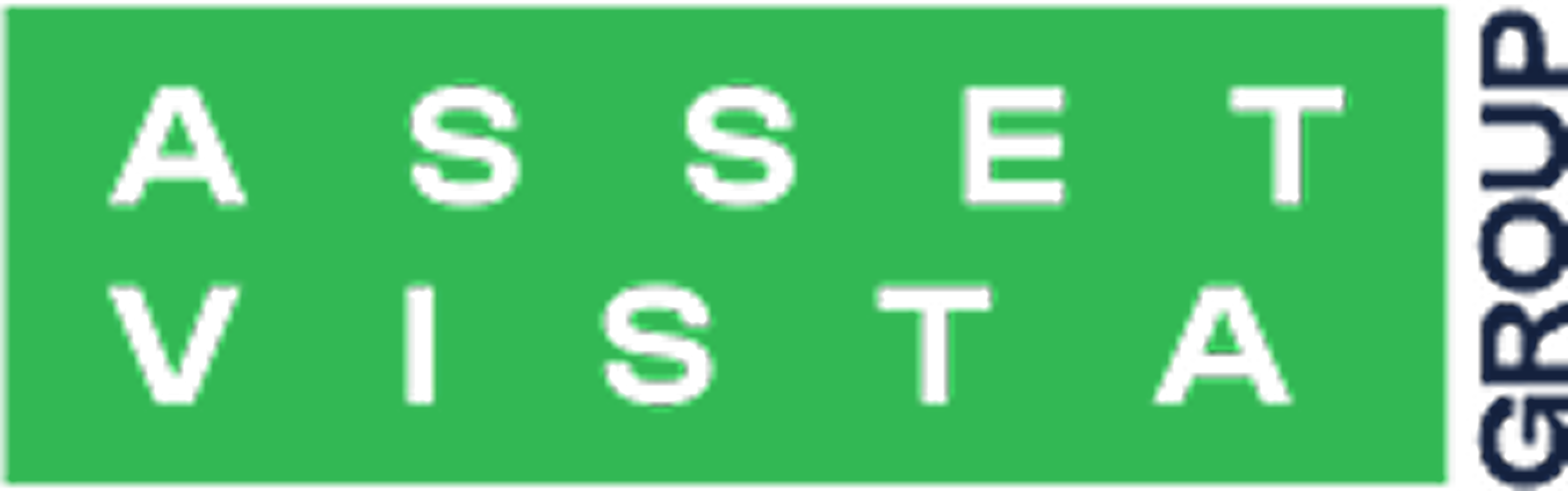 Asset Vista Group