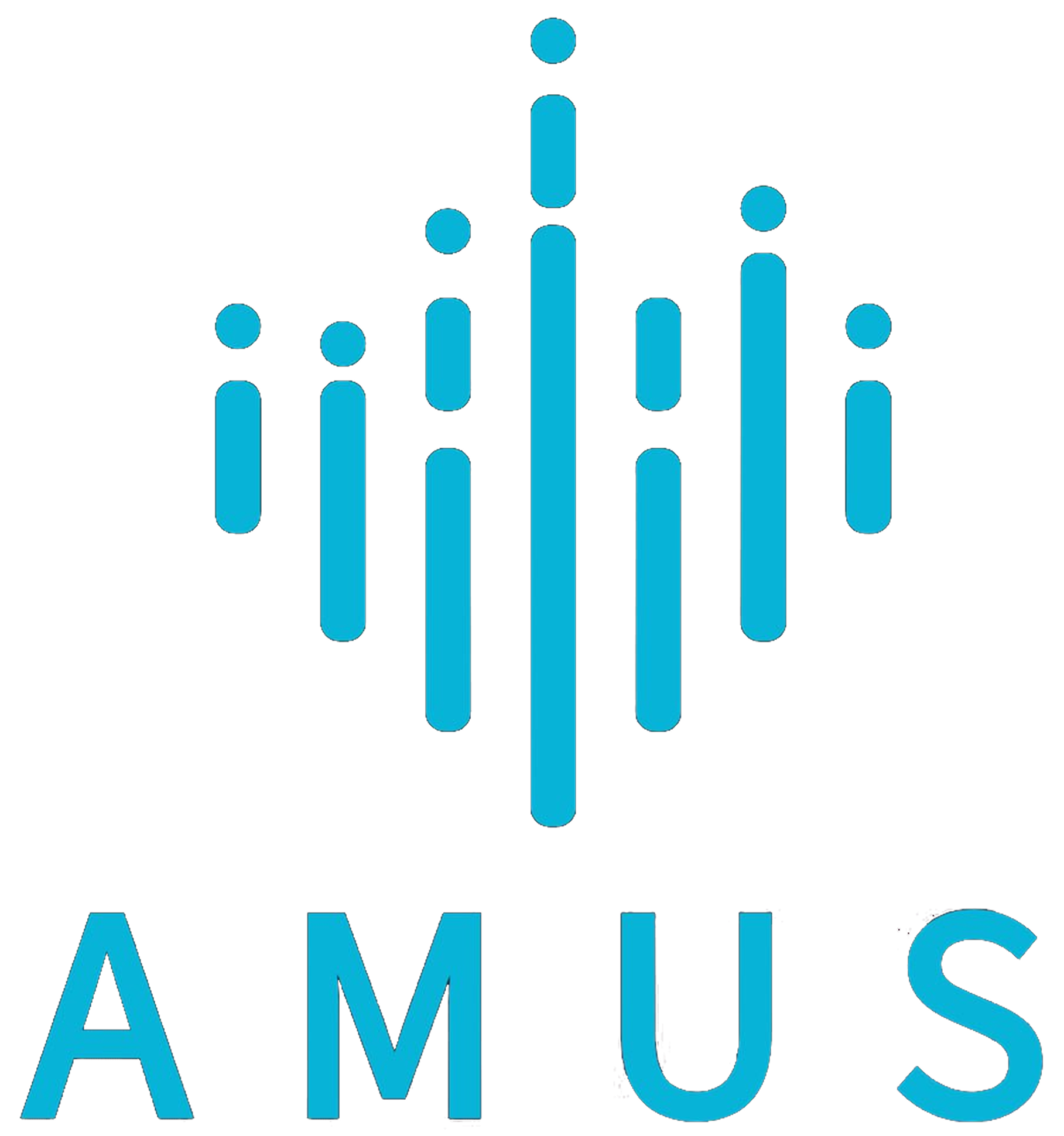 AMICUS FINANCE LIMITED