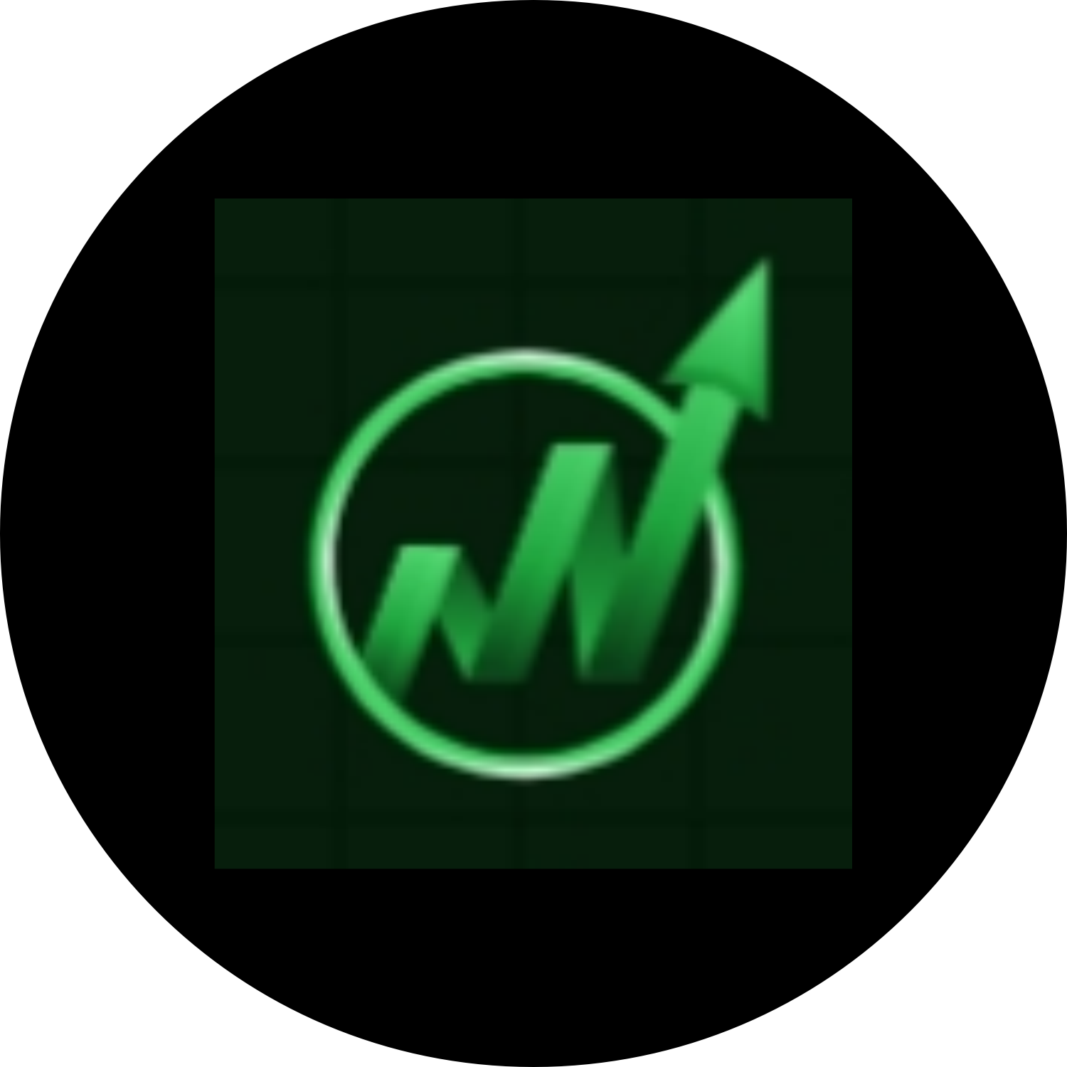 Lite Finance Investment