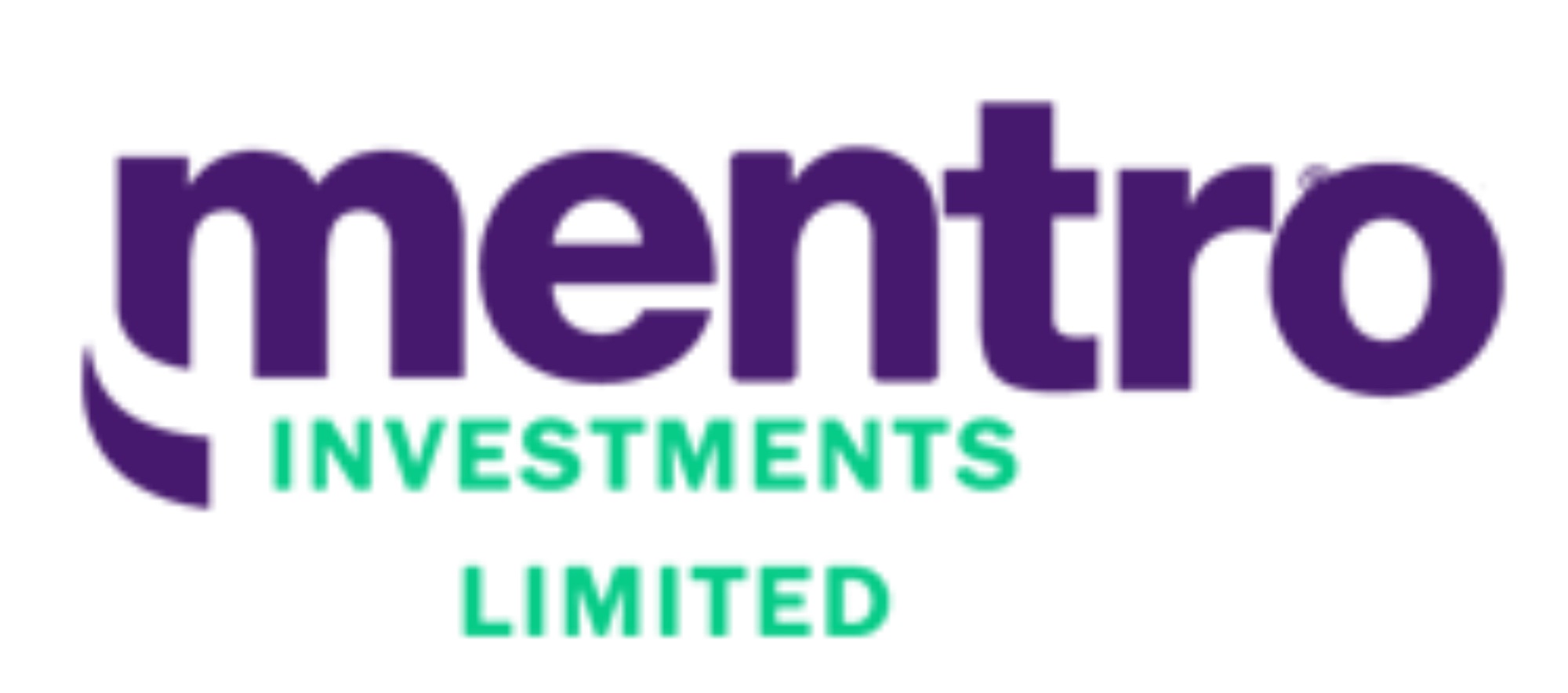 Mentro Investment Limited